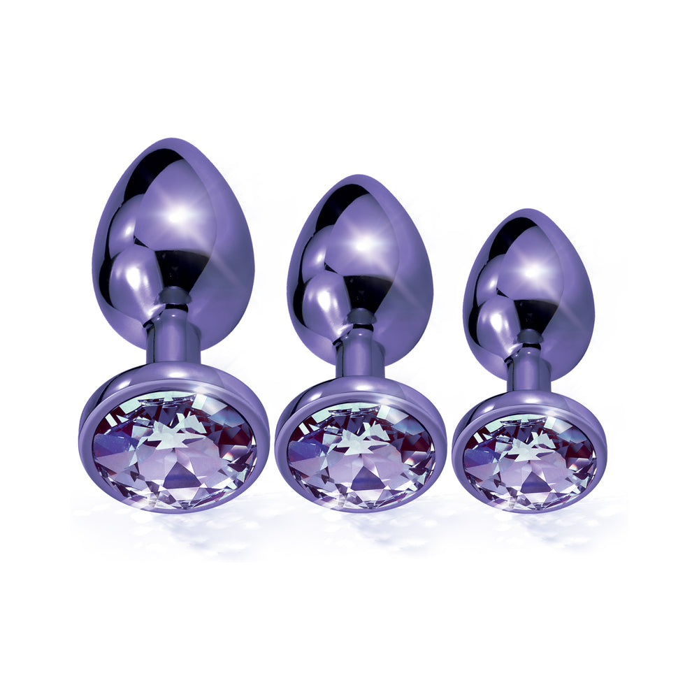 Nixie Metal Butt Plugtrainerset 3-piece Purple Metallic