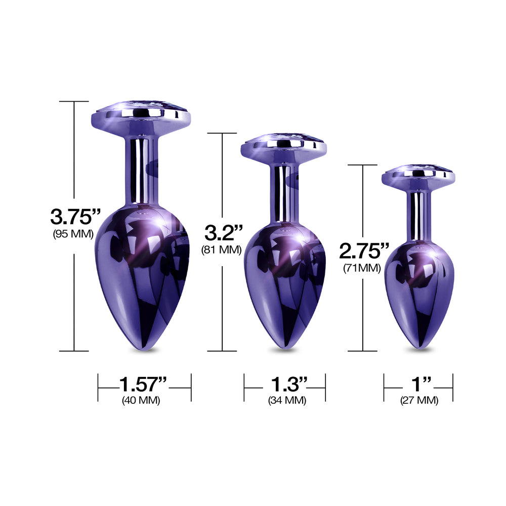 Nixie Metal Butt Plugtrainerset 3-piece Purple Metallic