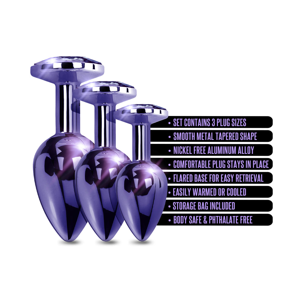 Nixie Metal Butt Plugtrainerset 3-piece Purple Metallic