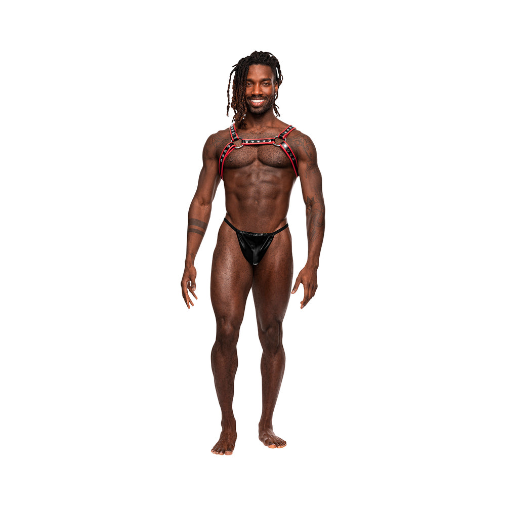 Male Power Man's Leather Leo Black/red O/s