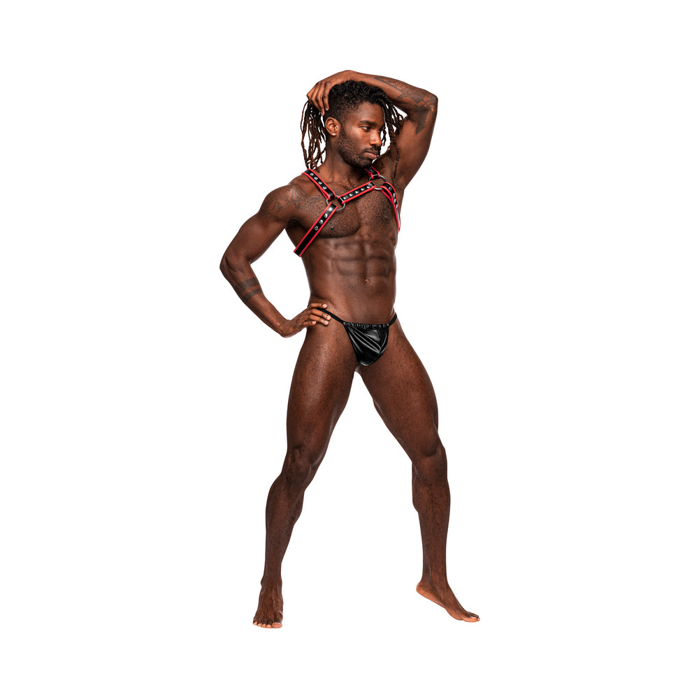 Male Power Man's Leather Leo Black/red O/s