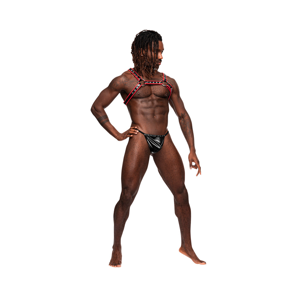 Male Power Man's Leather Leo Black/red O/s