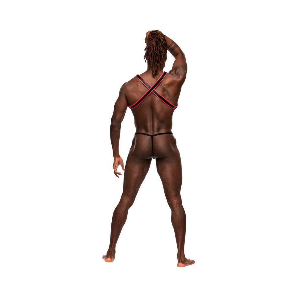 Male Power Man's Leather Leo Black/red O/s