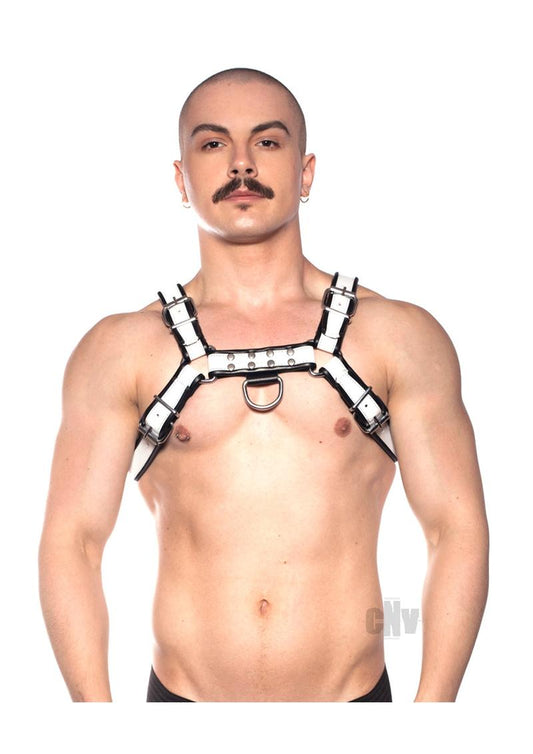 Prowler Red Bull Harness Bk/wht Sm