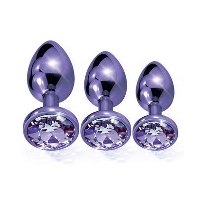 Nixie Metal Butt Plugtrainerset 3-piece Purple Metallic