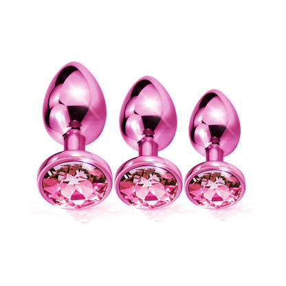Nixie Metal Butt Plugtrainerset 3-piece Pink Metallic