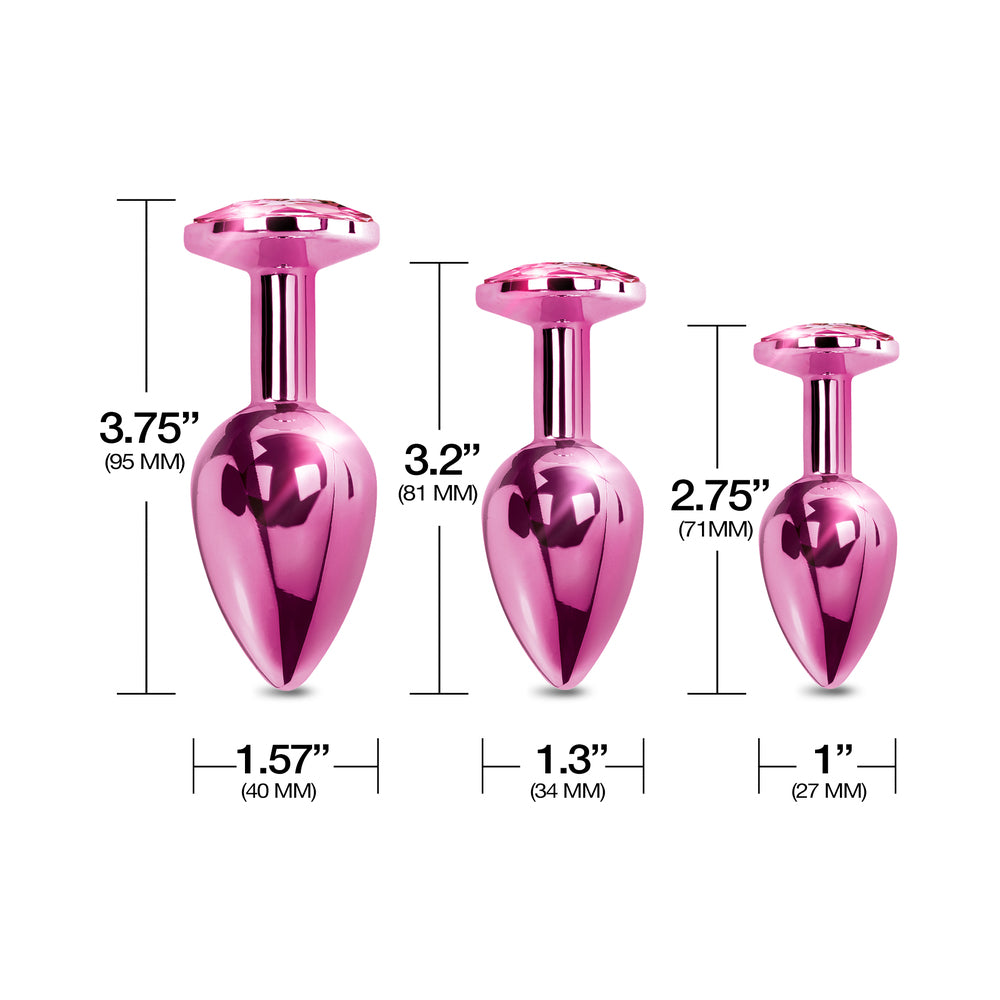 Nixie Metal Butt Plugtrainerset 3-piece Pink Metallic