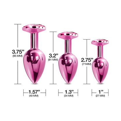Nixie Metal Butt Plugtrainerset 3-piece Pink Metallic